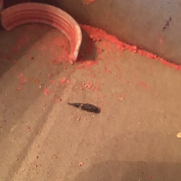 BE AWARE‼️‼️‼️ - Picture 12 of 16